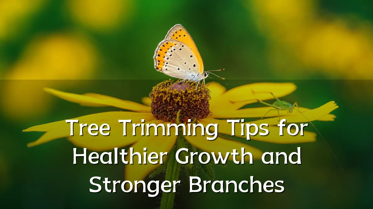 Tree Trimming Tips for Healthier Growth and Stronger Branches