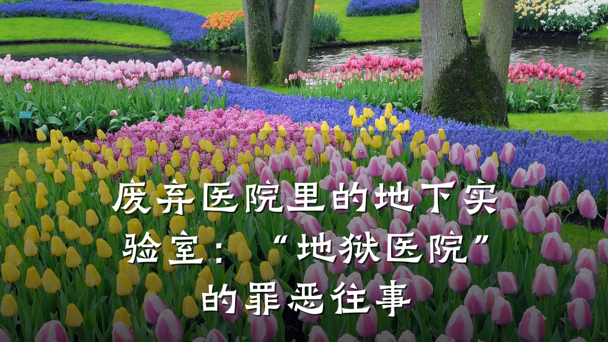 废弃医院里的地下实验室：“地狱医院”的罪恶往事