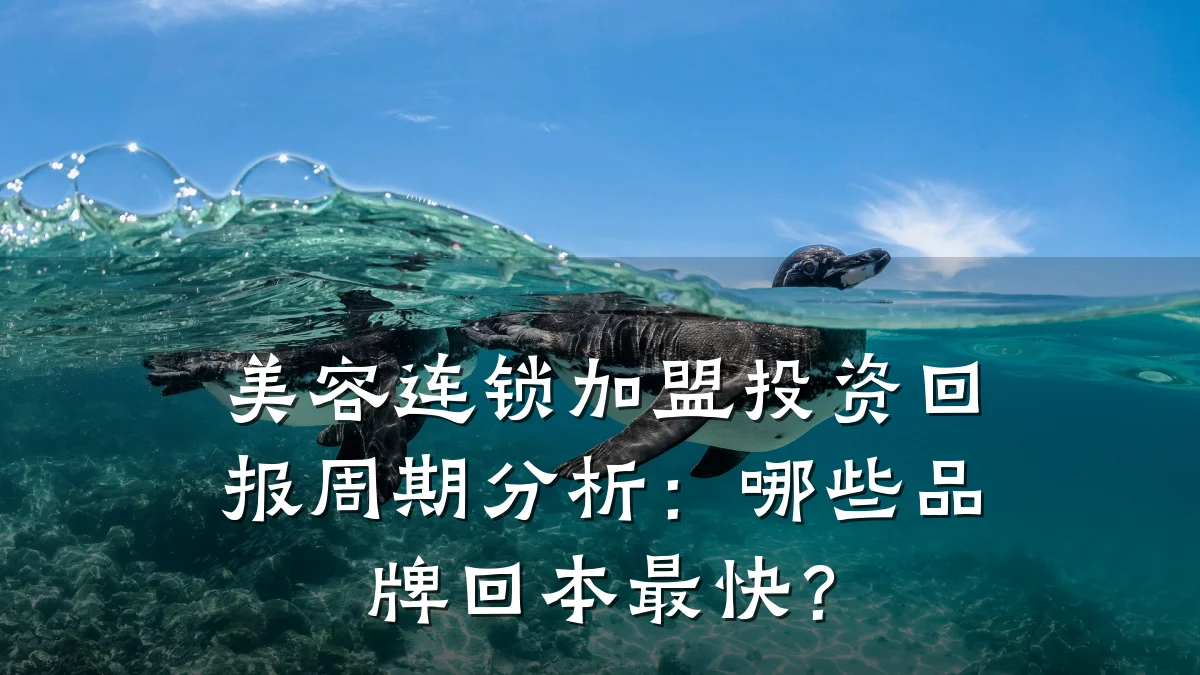 美容连锁加盟投资回报周期分析:哪些品牌回本最快?