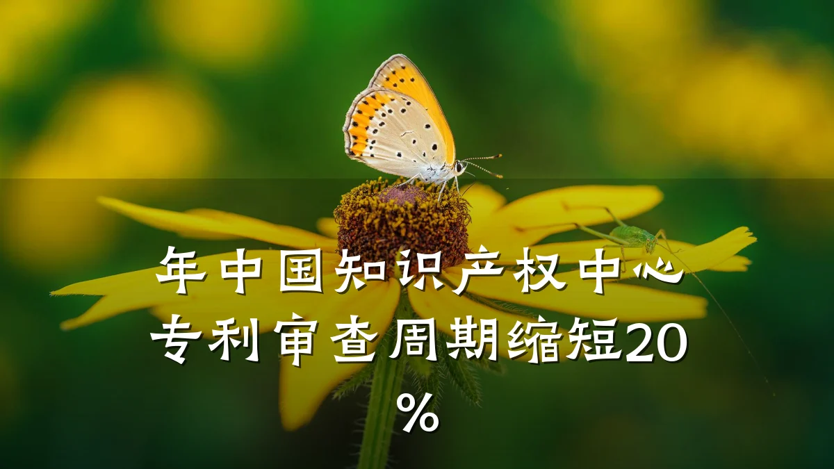 年中国知识产权中心专利审查周期缩短20%