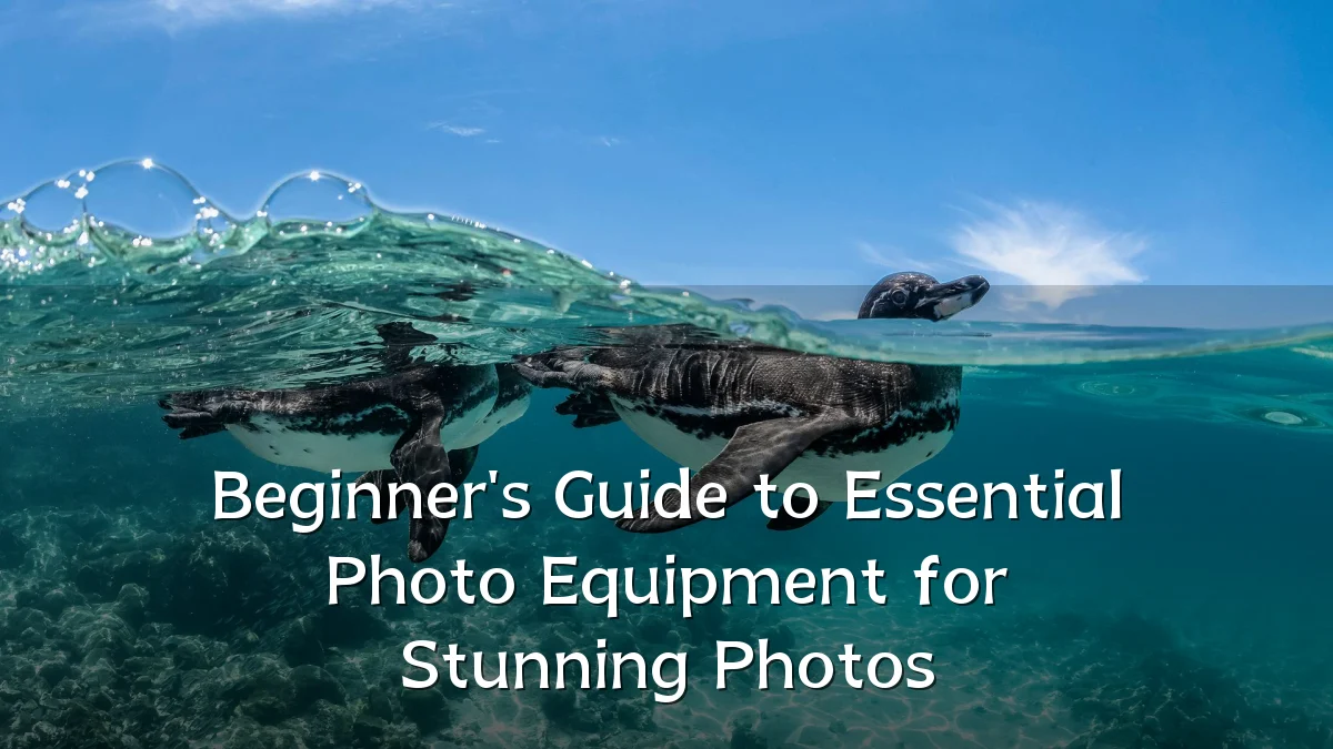 Beginner's Guide to Essential Photo Equipment for Stunning Photos