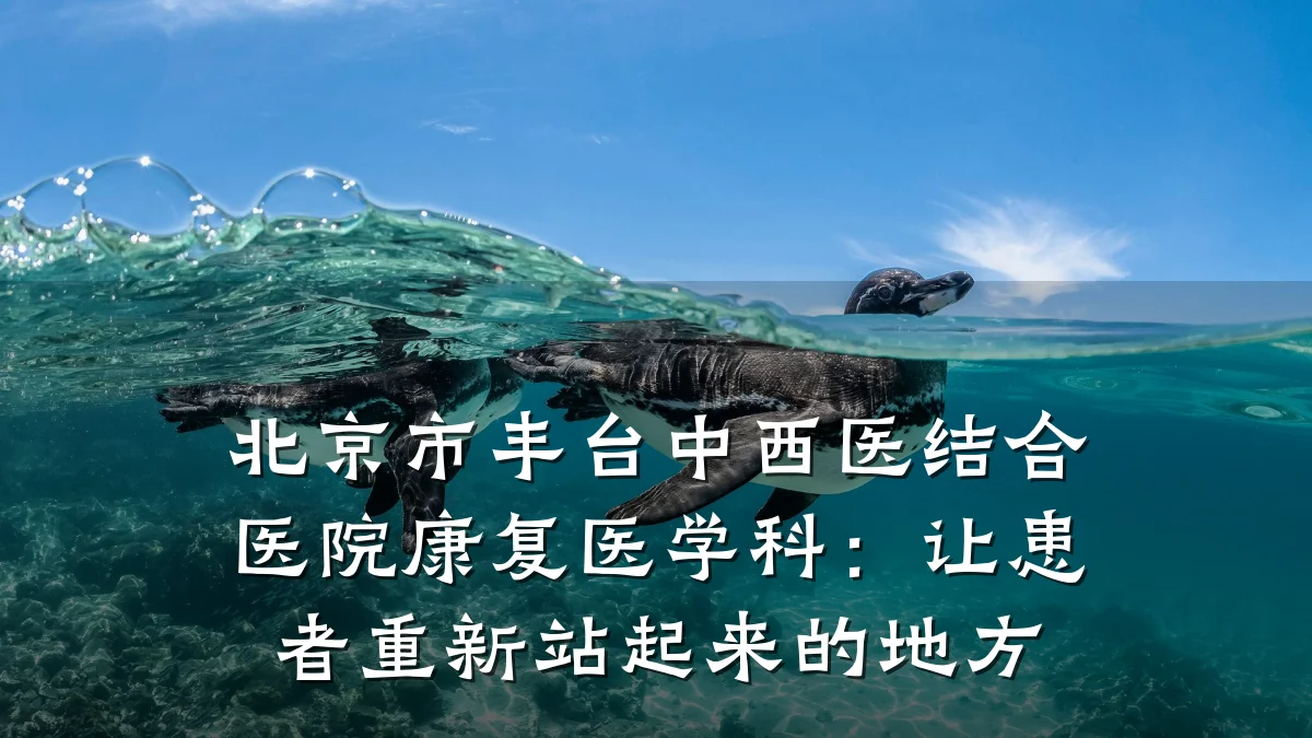 北京市丰台中西医结合医院康复医学科：让患者重新站起来的地方