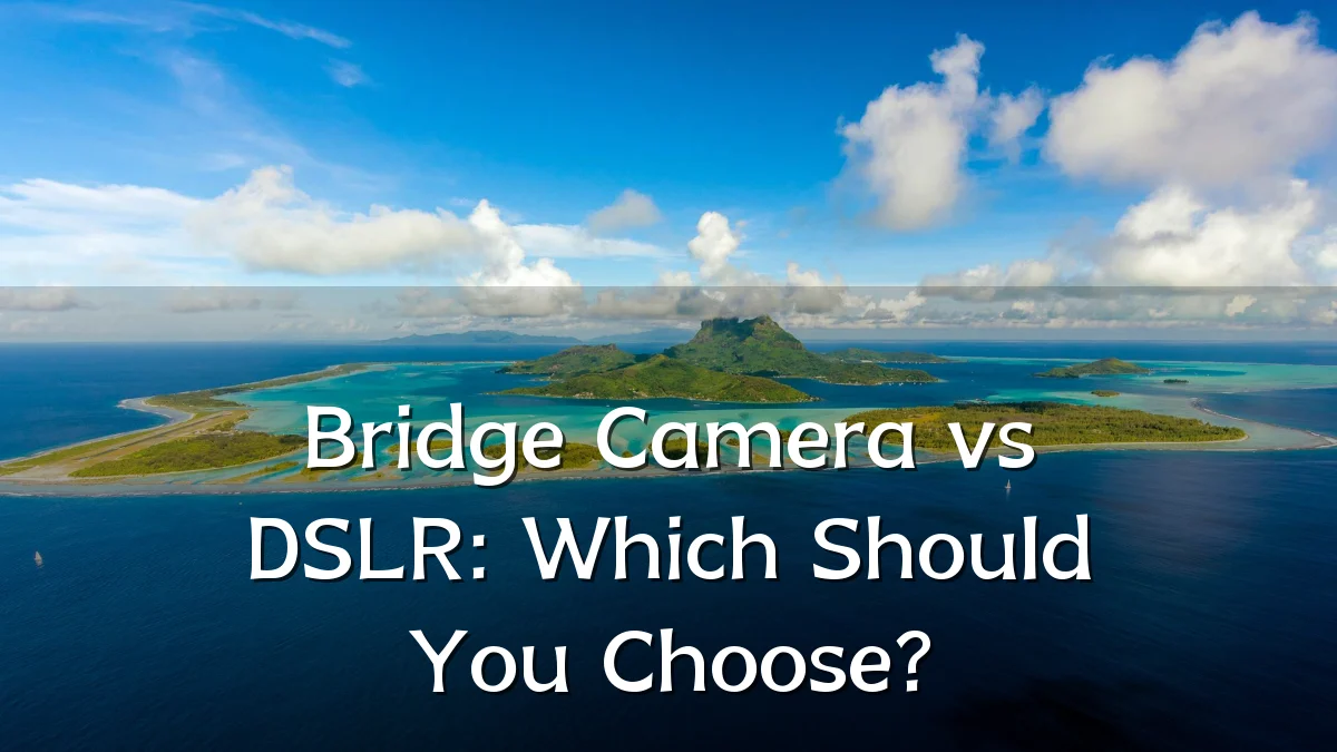 Bridge Camera vs DSLR: Which Should You Choose?