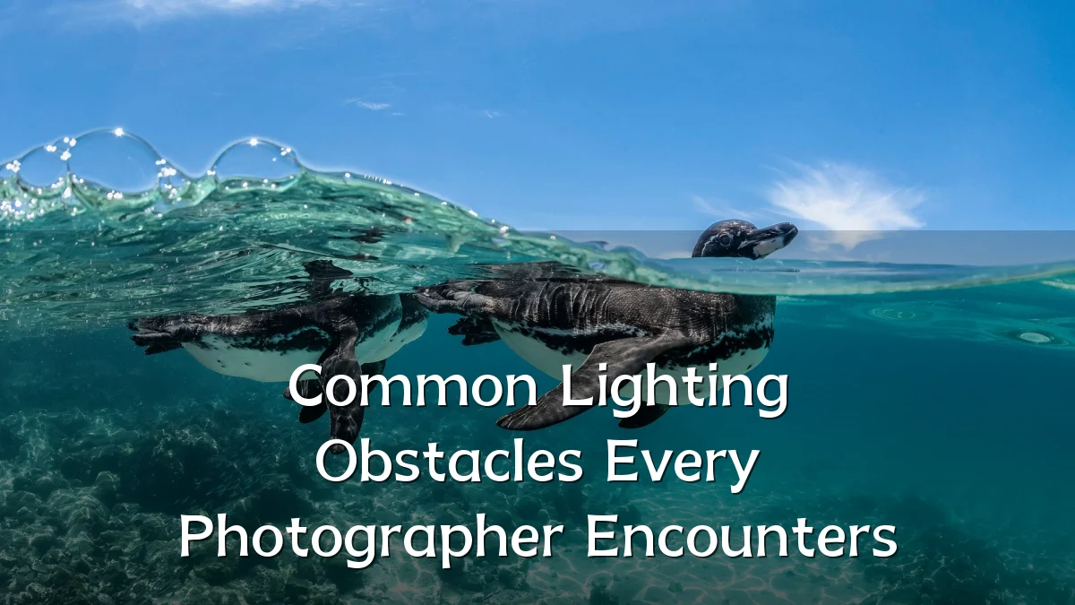 Common Lighting Obstacles Every Photographer Encounters