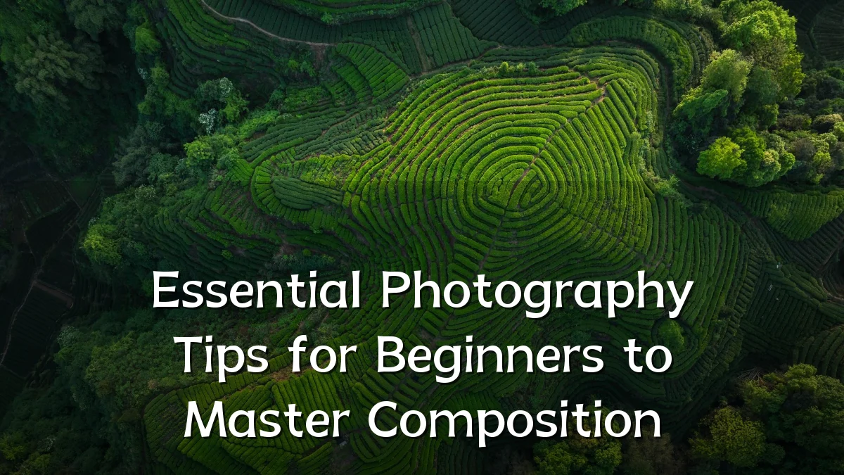 Essential Photography Tips for Beginners to Master Composition
