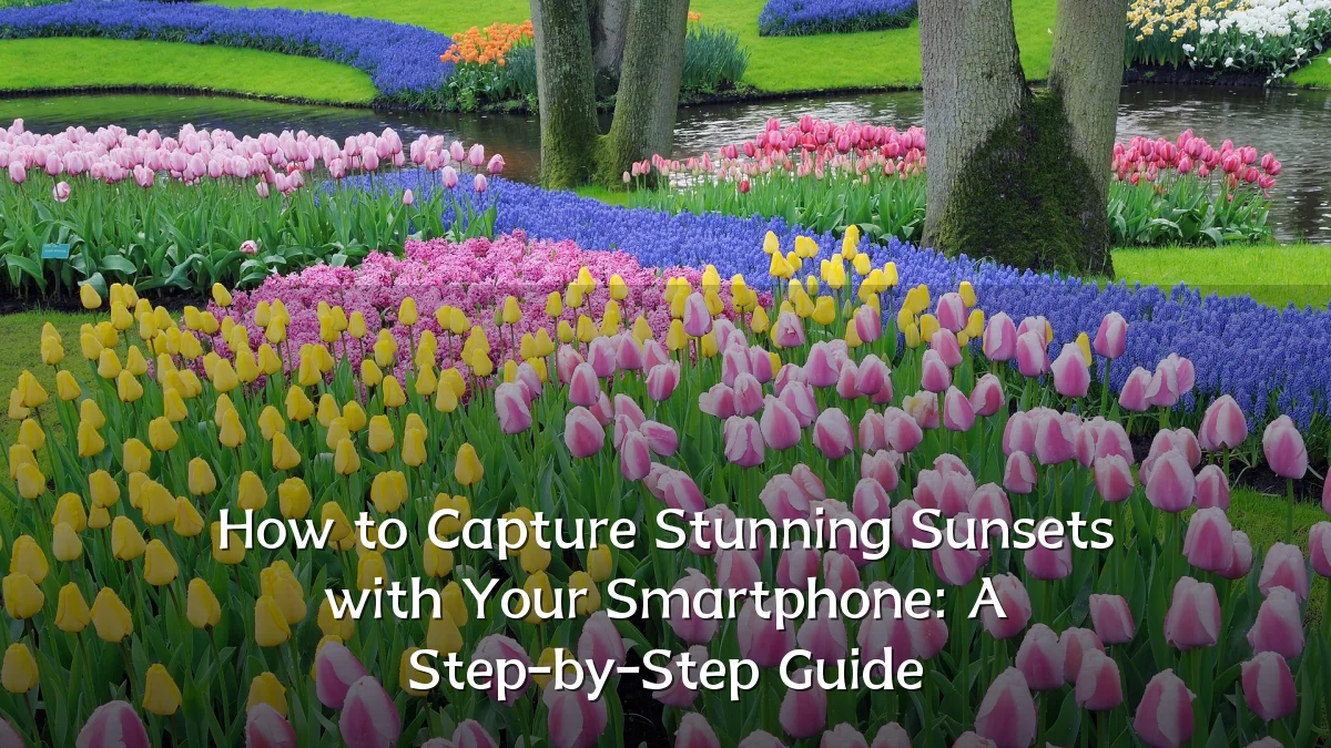 How to Capture Stunning Sunsets with Your Smartphone: A Step-by-Step Guide