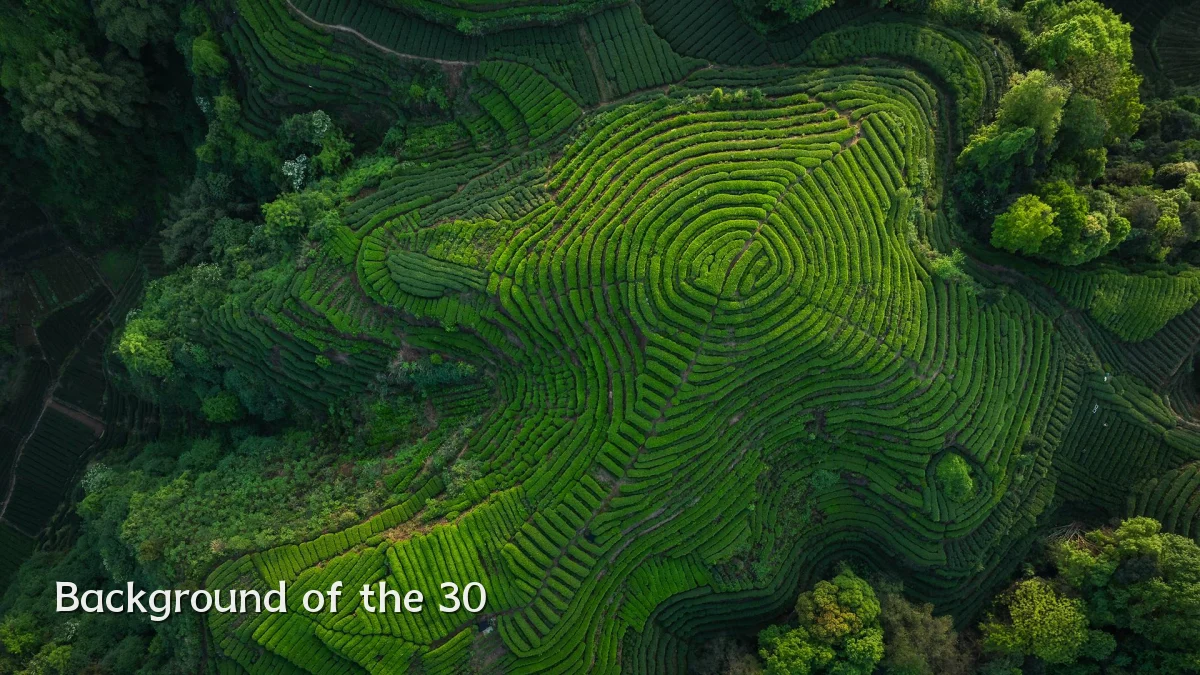Background of the 30