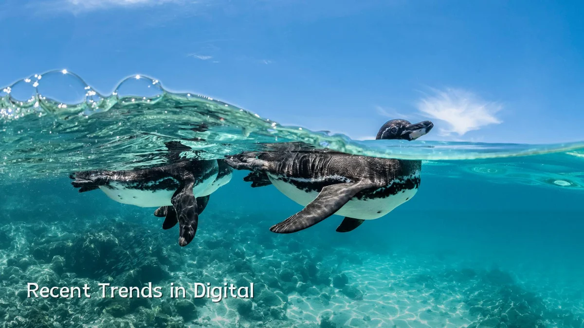 Recent Trends in Digital