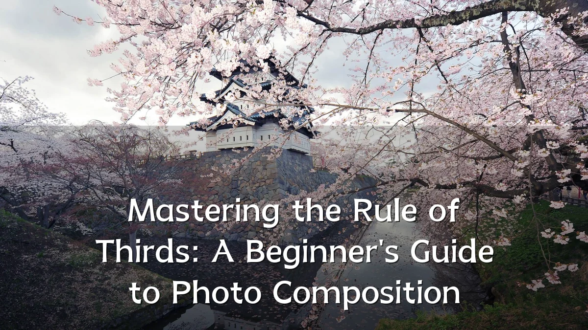 Mastering the Rule of Thirds: A Beginner's Guide to Photo Composition