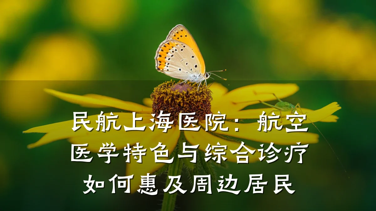 民航上海医院:航空医学特色与综合诊疗如何惠及周边居民