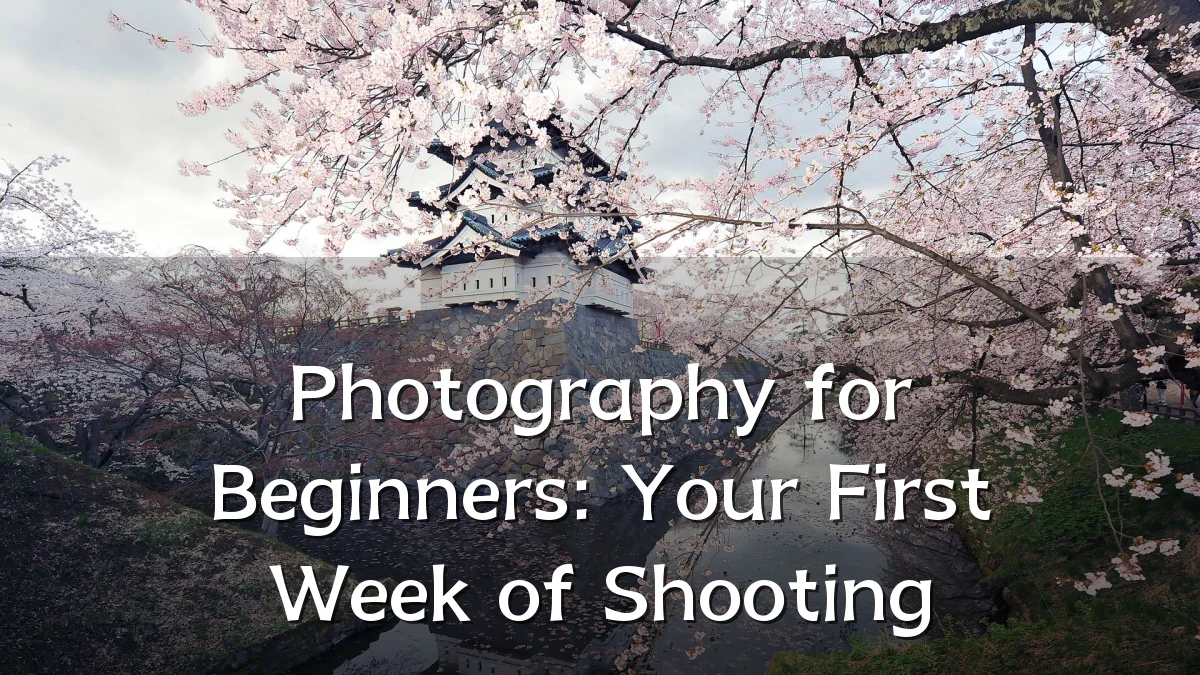 Photography for Beginners: Your First Week of Shooting