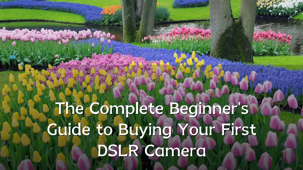 The Complete Beginner's Guide to Buying Your First DSLR Camera