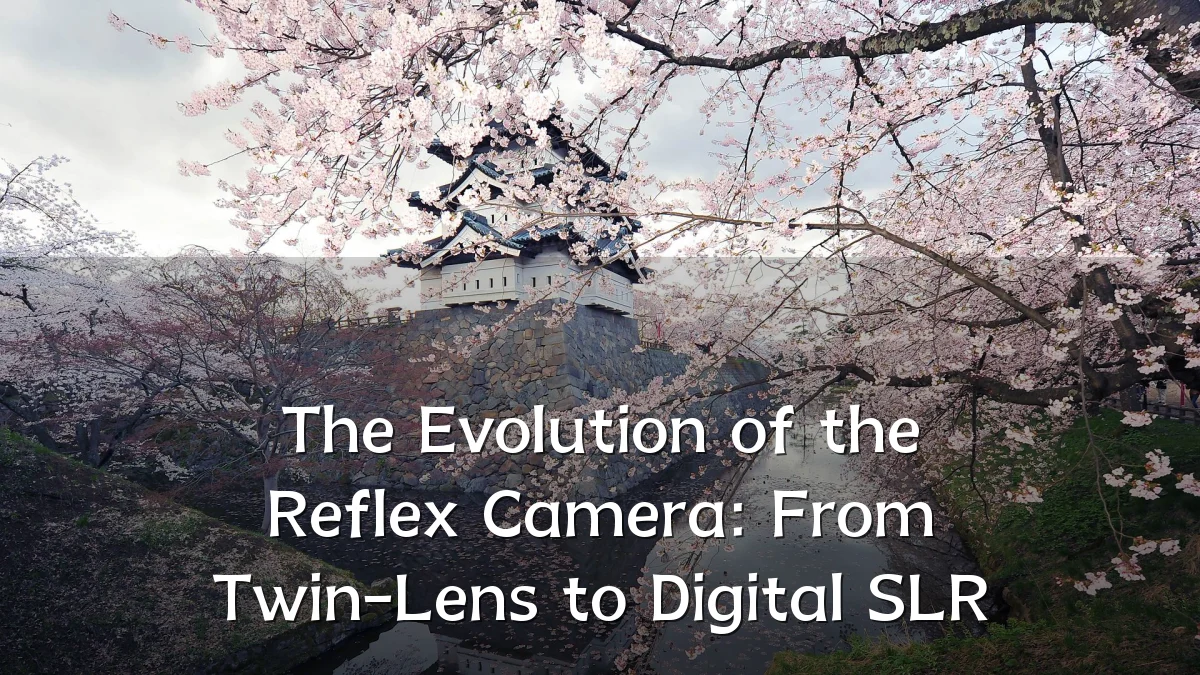 The Evolution of the Reflex Camera: From Twin-Lens to Digital SLR