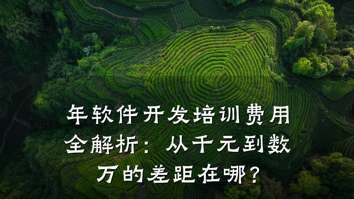 年软件开发培训费用全解析:从千元到数万的差距在哪?
