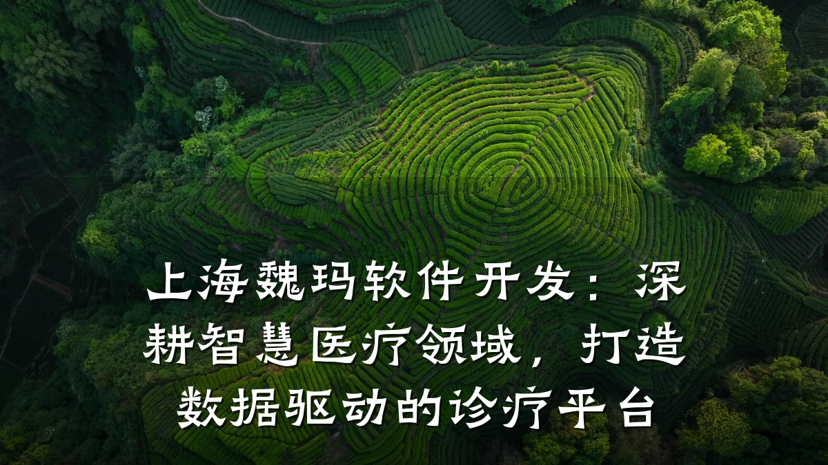 上海魏玛软件开发:深耕智慧医疗领域,打造数据驱动的诊疗平台