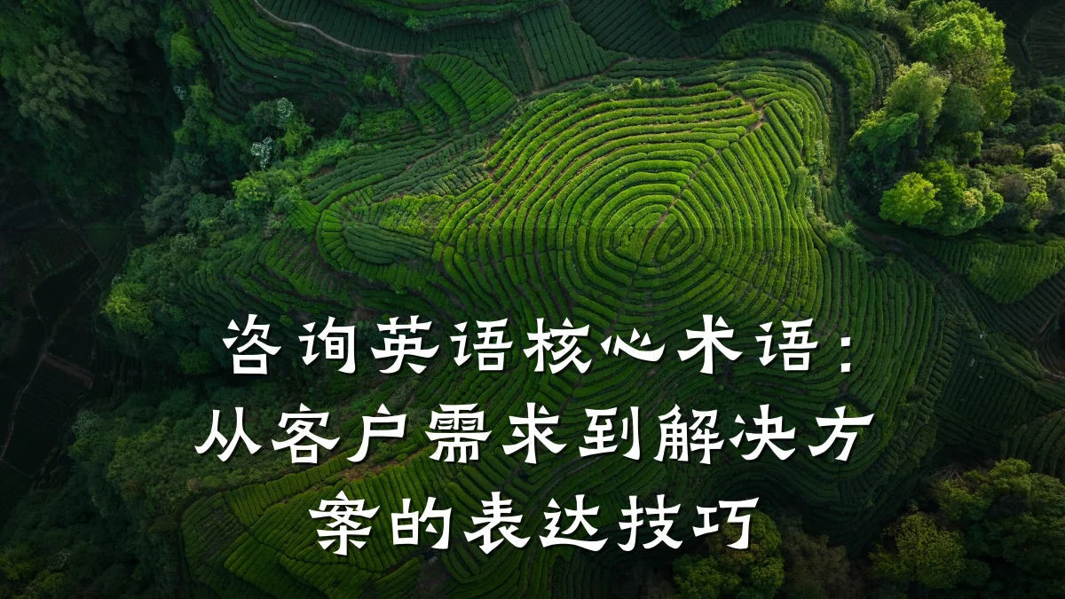 咨询英语核心术语:从客户需求到解决方案的表达技巧