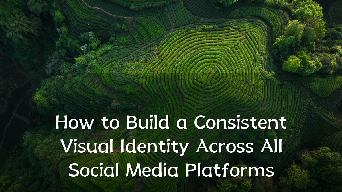 How to Build a Consistent Visual Identity Across All Social Media Platforms