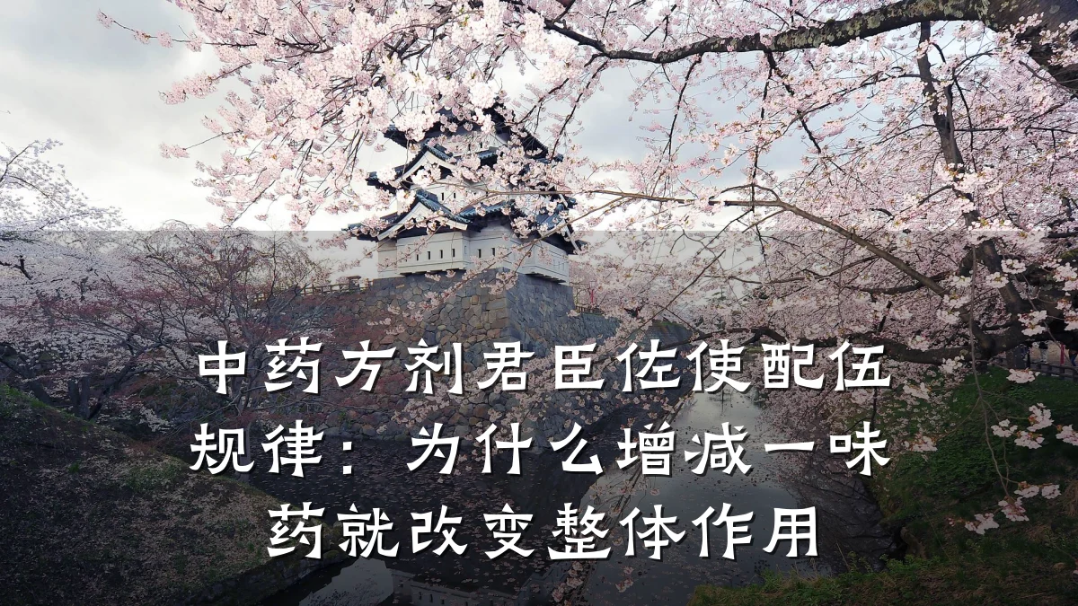 中药方剂君臣佐使配伍规律：为什么增减一味药就改变整体作用