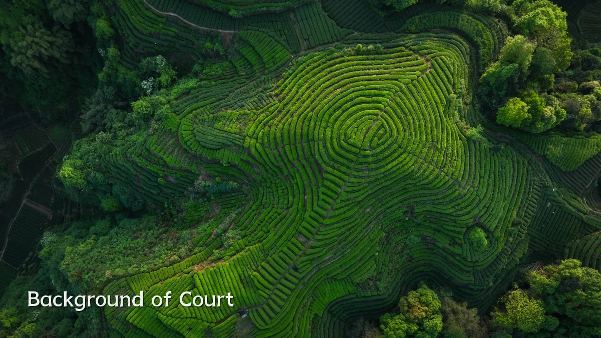 Background of Court
