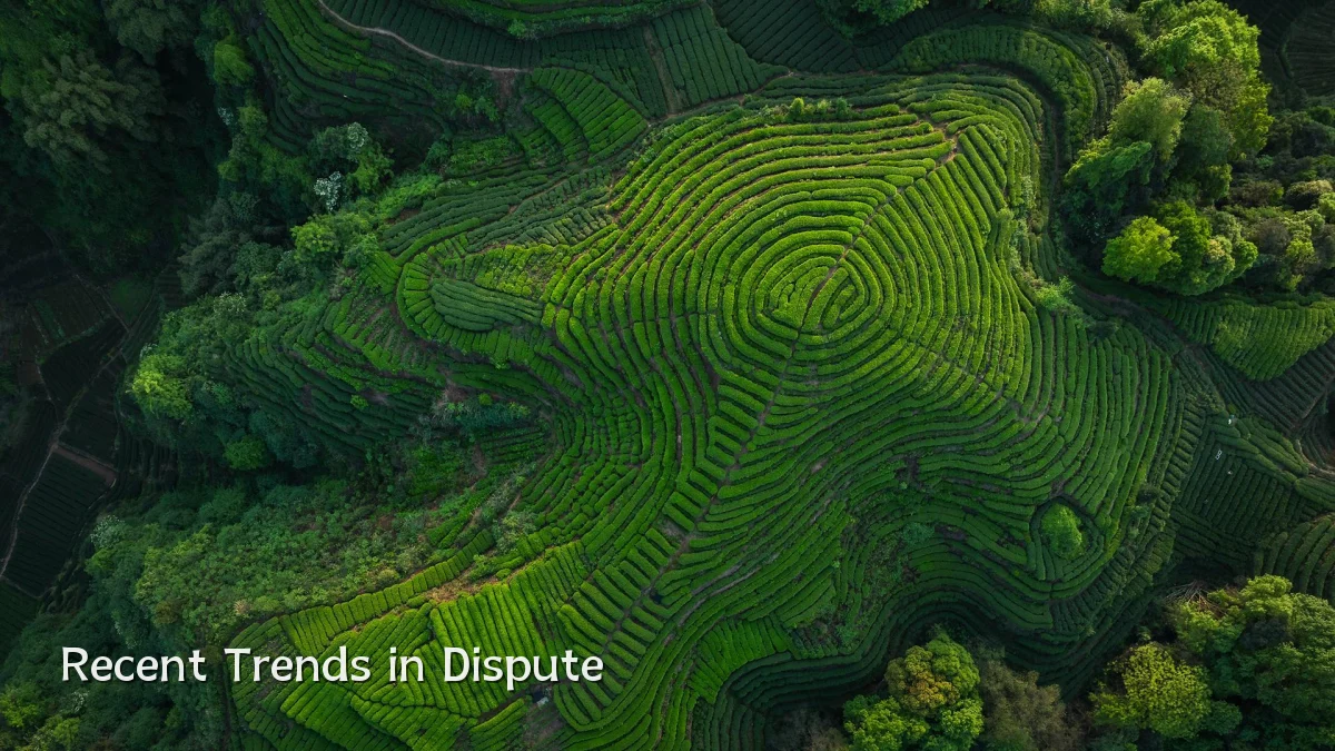 Recent Trends in Dispute