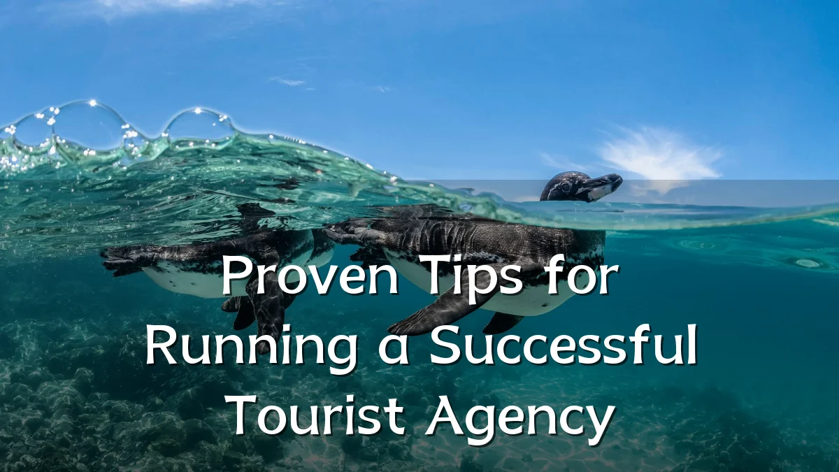 Proven Tips for Running a Successful Tourist Agency