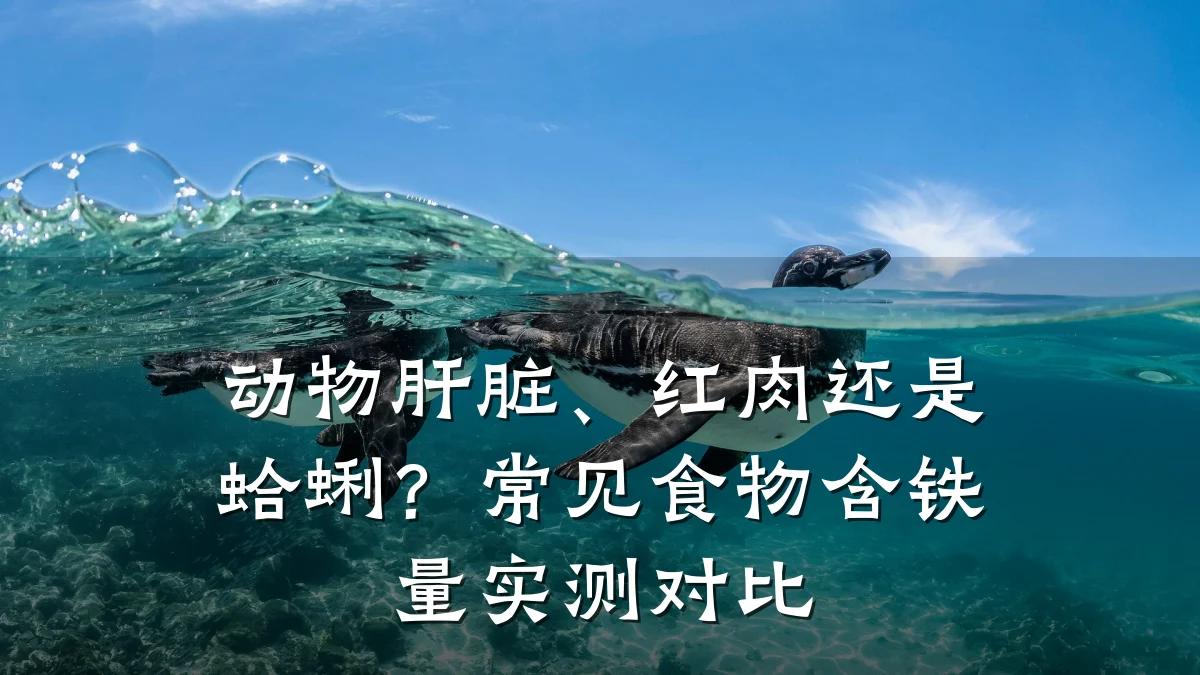 动物肝脏、红肉还是蛤蜊?常见食物含铁量实测对比