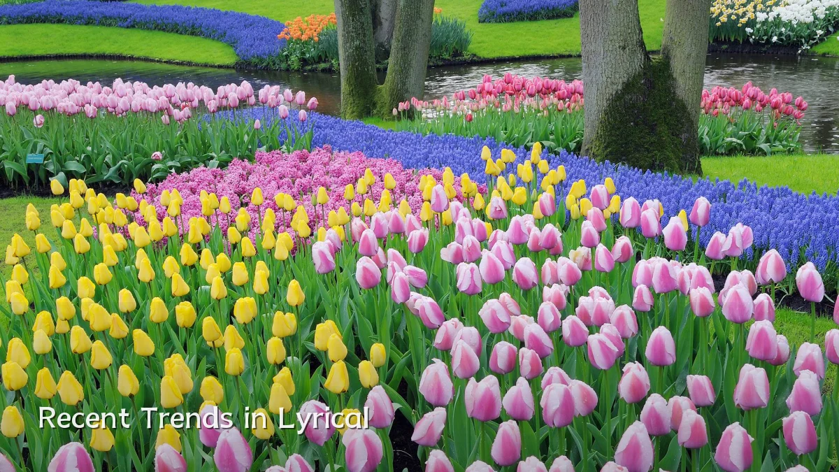 Recent Trends in Lyrical