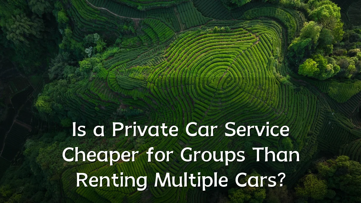 Is a Private Car Service Cheaper for Groups Than Renting Multiple Cars?