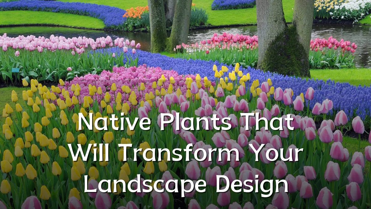 Native Plants That Will Transform Your Landscape Design