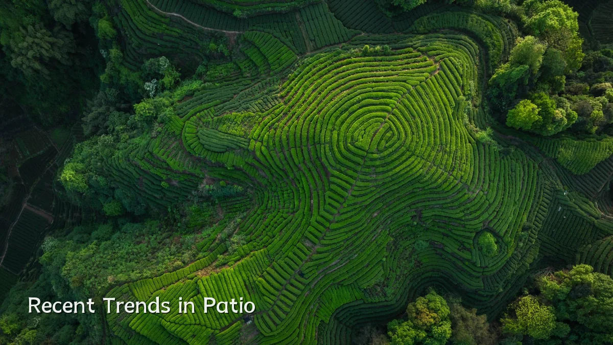 Recent Trends in Patio