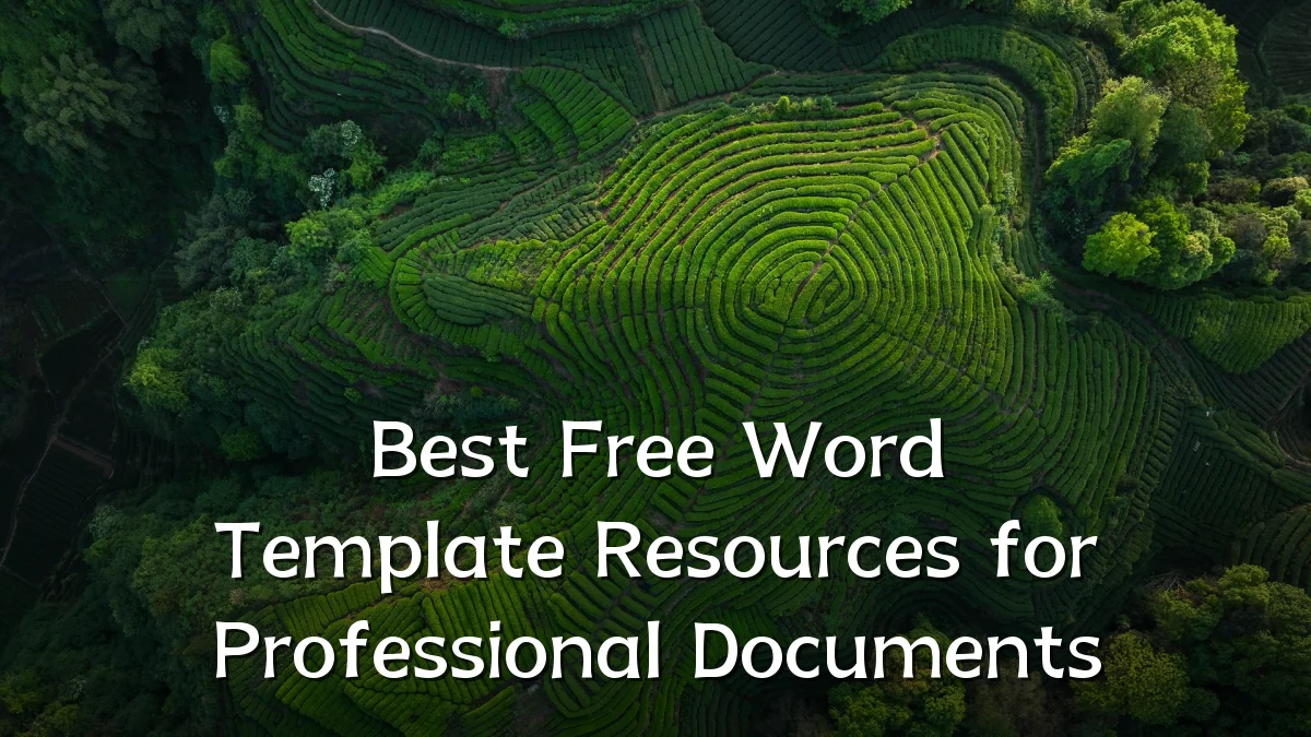 Best Free Word Template Resources for Professional Documents