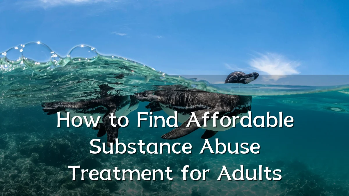 How to Find Affordable Substance Abuse Treatment for Adults