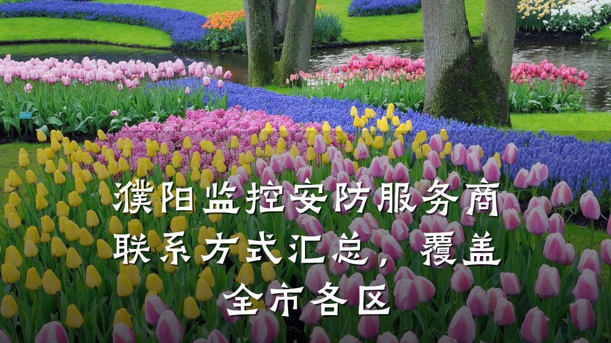 濮阳监控安防服务商联系方式汇总,覆盖全市各区