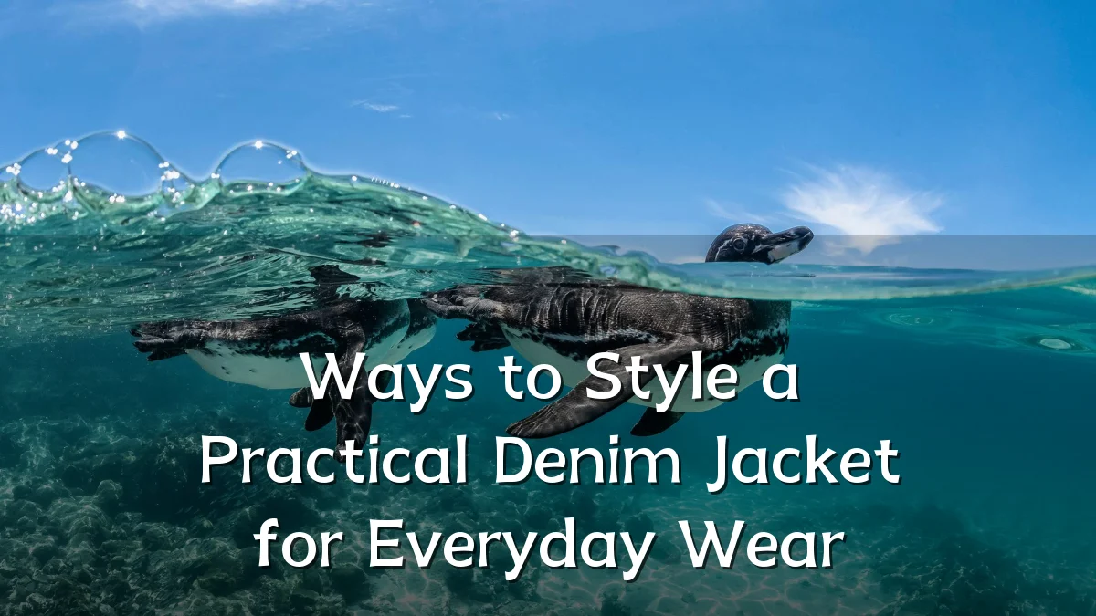 Ways to Style a Practical Denim Jacket for Everyday Wear