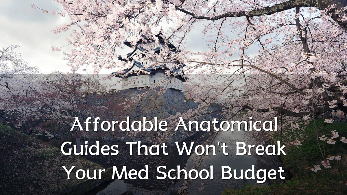 Affordable Anatomical Guides That Won't Break Your Med School Budget