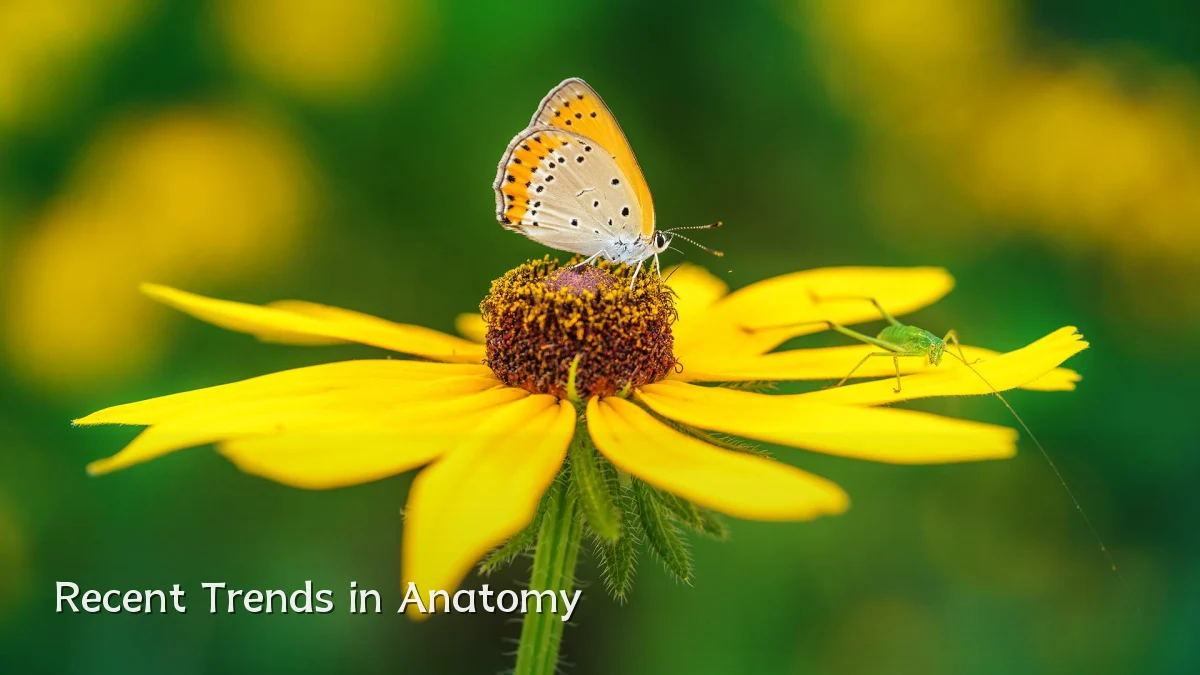Recent Trends in Anatomy