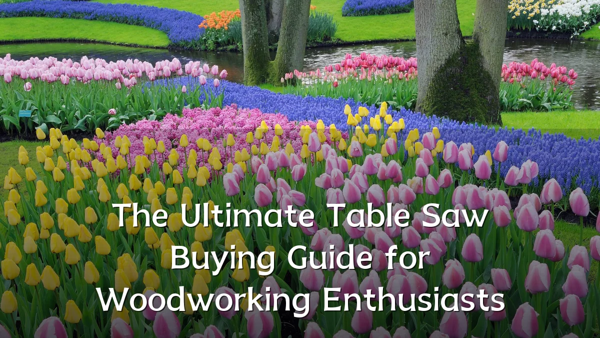 The Ultimate Table Saw Buying Guide for Woodworking Enthusiasts