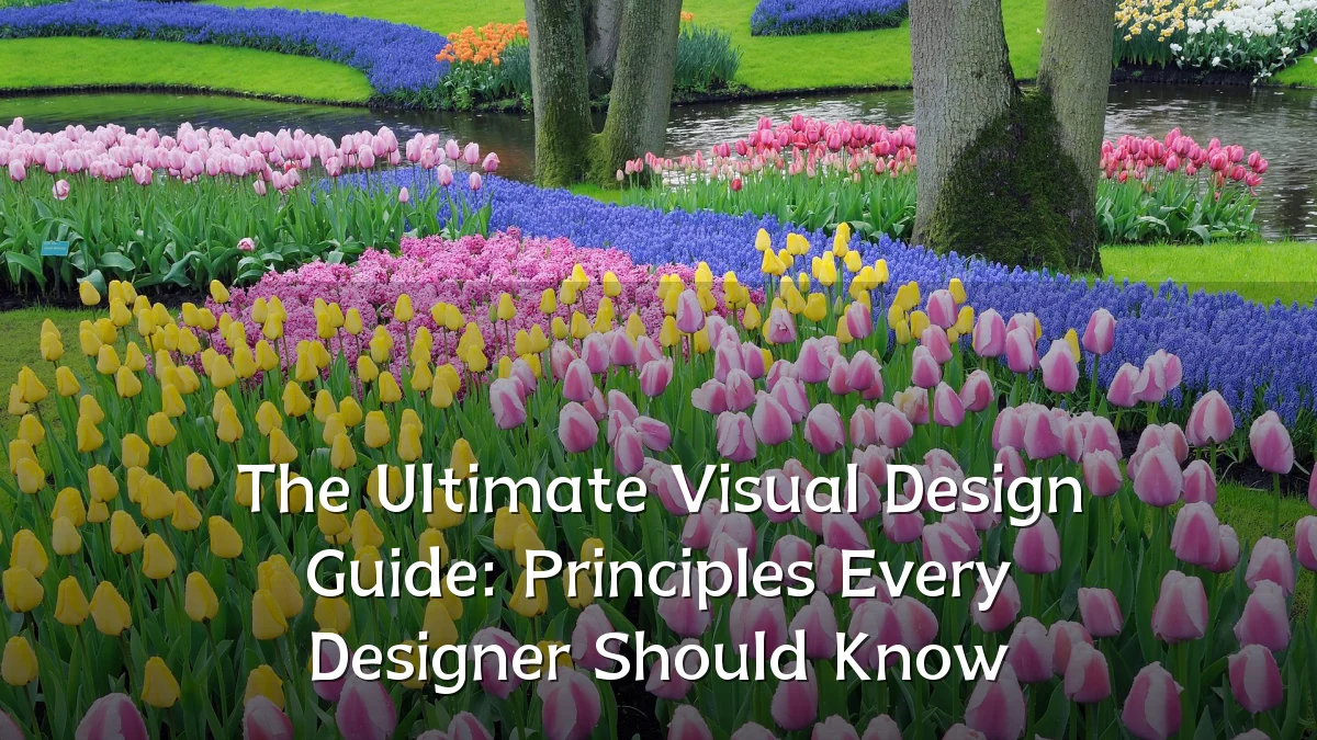 The Ultimate Visual Design Guide: Principles Every Designer Should Know
