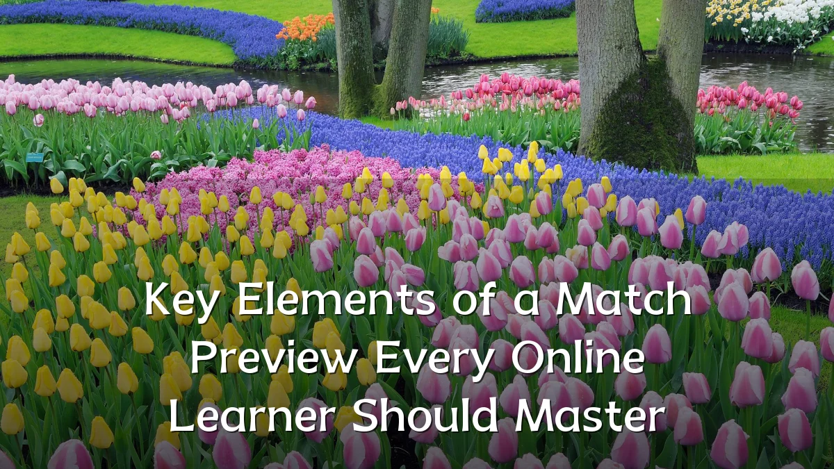 Key Elements of a Match Preview Every Online Learner Should Master