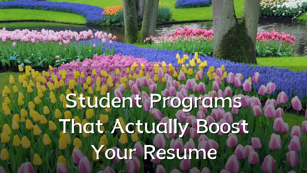 Student Programs That Actually Boost Your Resume
