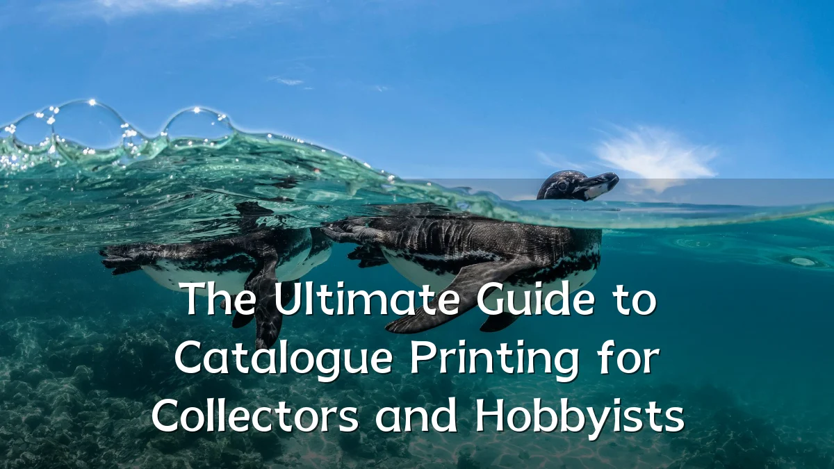 The Ultimate Guide to Catalogue Printing for Collectors and Hobbyists
