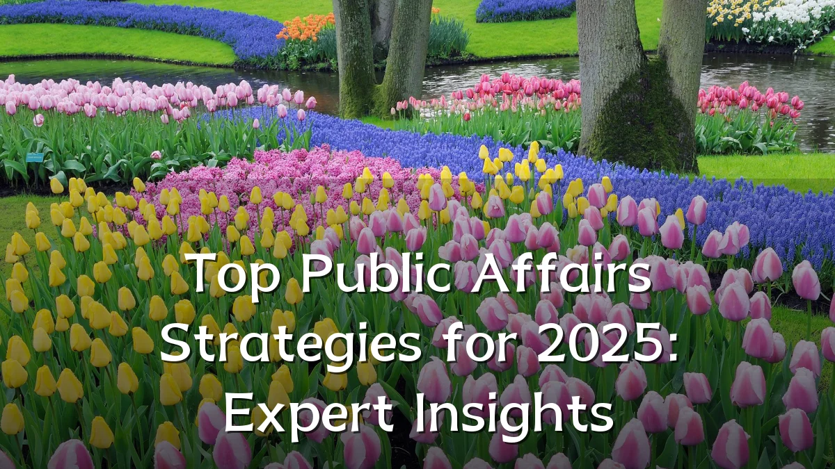 Top Public Affairs Strategies for 2025: Expert Insights