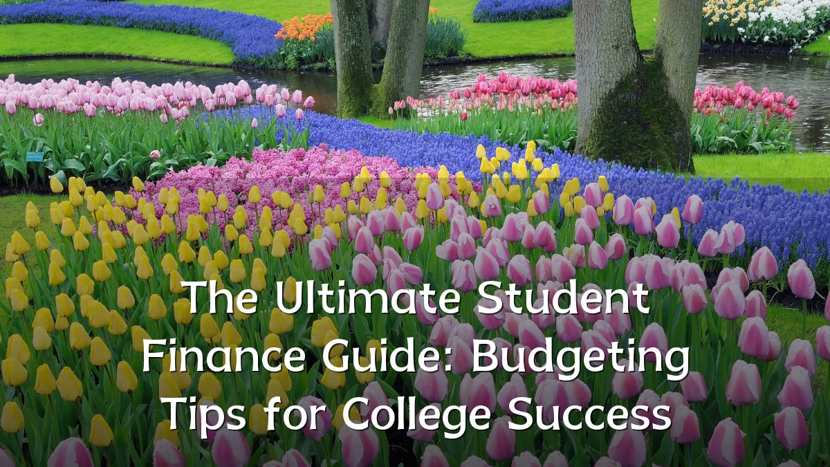 The Ultimate Student Finance Guide: Budgeting Tips for College Success