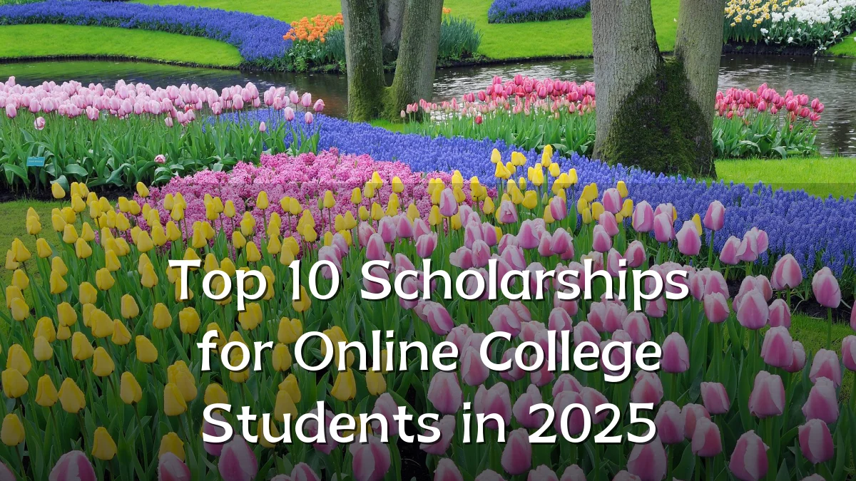 Top 10 Scholarships for Online College Students in 2025