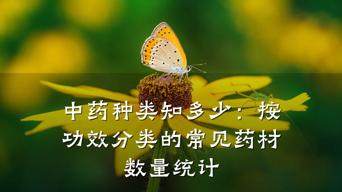 中药种类知多少:按功效分类的常见药材数量统计