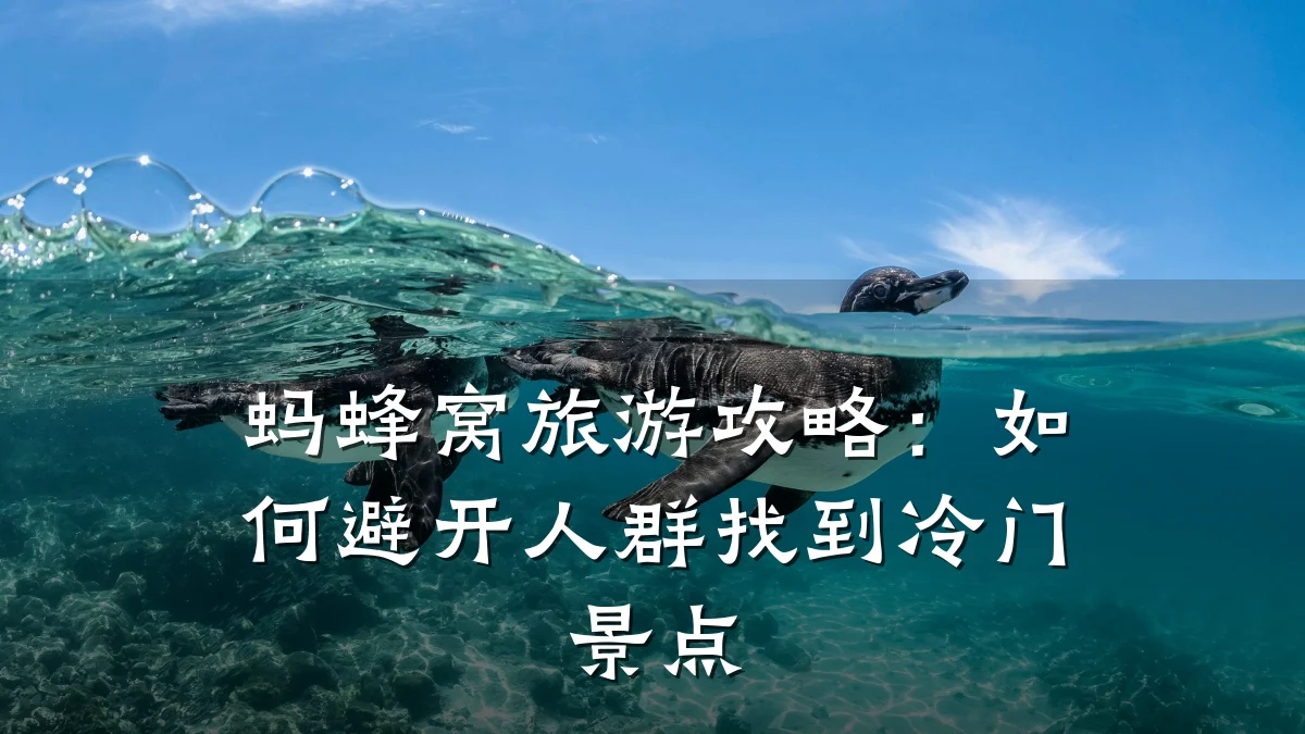 蚂蜂窝旅游攻略:如何避开人群找到冷门景点