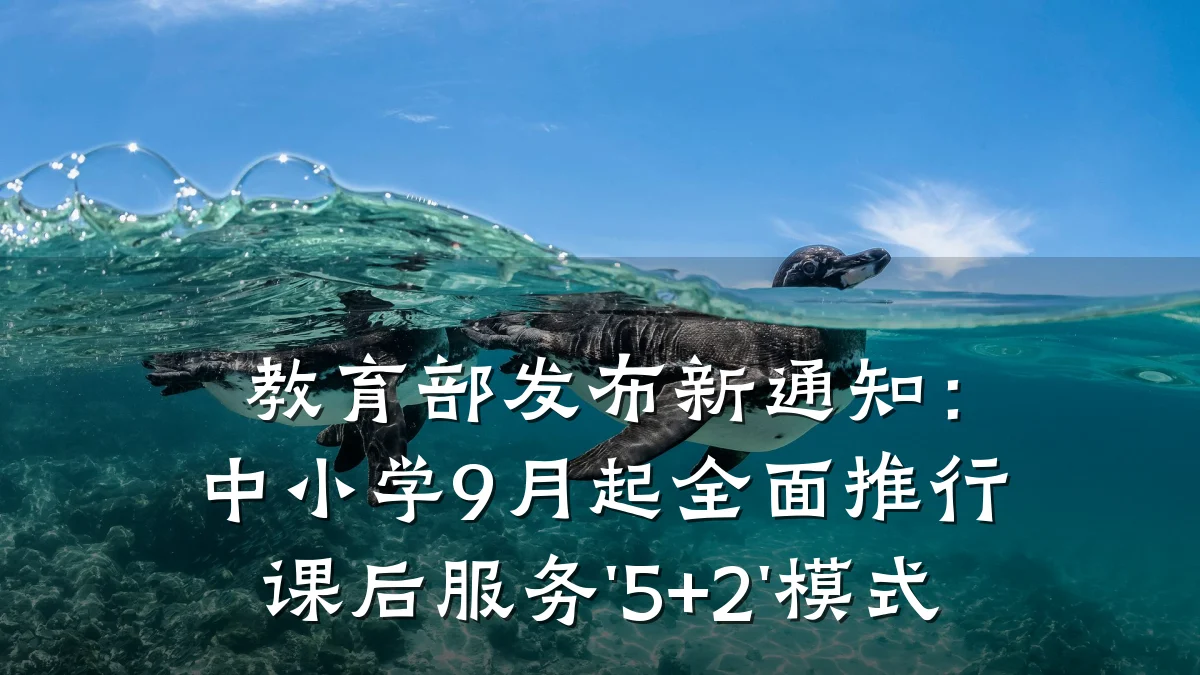 教育部发布新通知:中小学9月起全面推行课后服务'5+2'模式