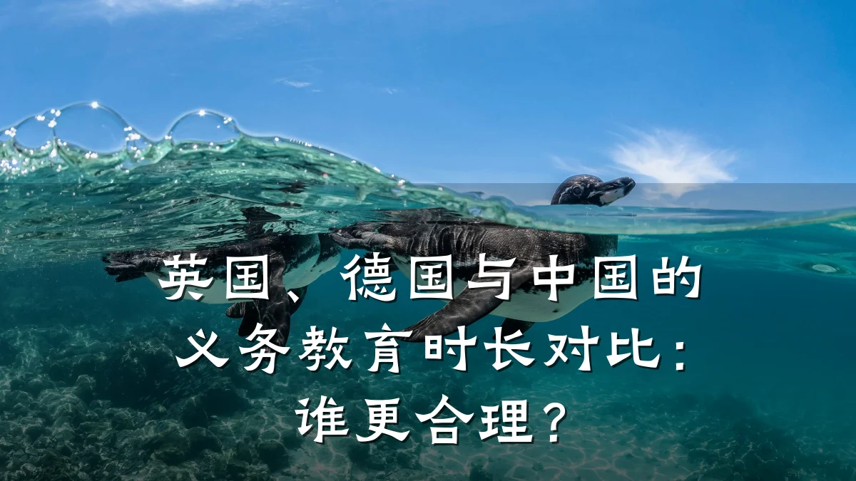 英国、德国与中国的义务教育时长对比：谁更合理？