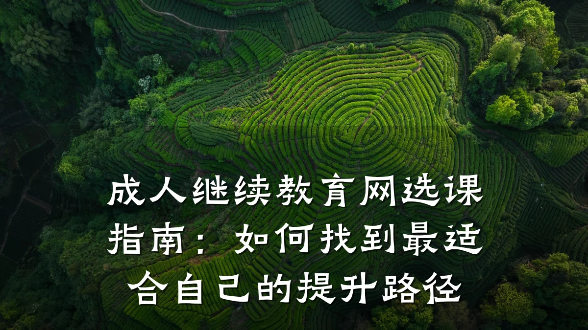 成人继续教育网选课指南：如何找到最适合自己的提升路径