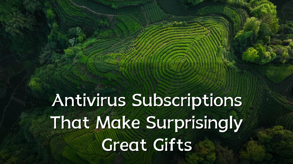 Antivirus Subscriptions That Make Surprisingly Great Gifts